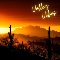 "Valley Vibes" Album CD